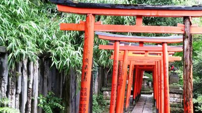 Прогуляйтесь по Японии, чтобы исследовать душу страны