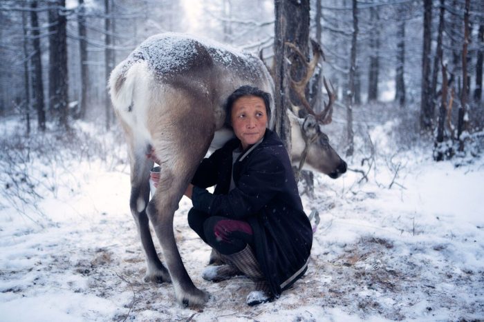 Фотографы запечатлели жизнь оленеводов, живущих на границе Монголии и Сибири