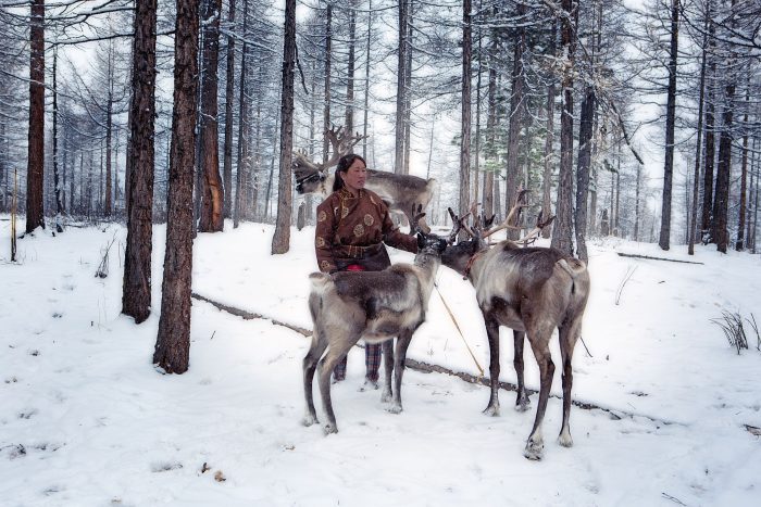 Фотографы запечатлели жизнь оленеводов, живущих на границе Монголии и Сибири