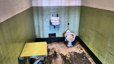 Госдума запретила пропаганду нацистской символики