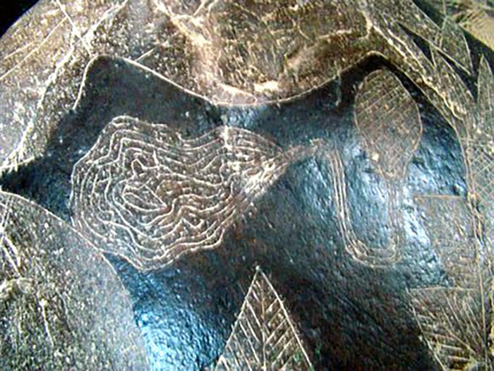 В Перу найдены загадочные камни с изображениями доисторических «кардиохирургов» В Перу найдены загадочные камни с изображениями доисторических «кардиохирургов»