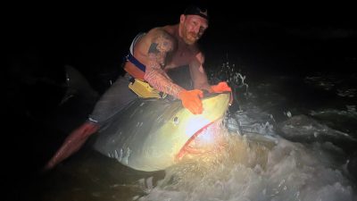 В США рыболов поймал 3-метровую тигровую акулу-монстра в Мексиканском заливе