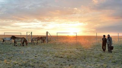 На границе Киргизии и Таджикистана произошла перестрелка