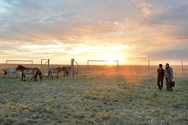 Приграничная территория Киргизии. Фото: ALEXEI DRUZHININ/AFP via Getty Images | Epoch Times Россия