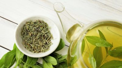 Богатая полифенолами диета снижает воспаление и укрепляет здоровье кишечника у пожилых людей