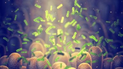 Исследование показало, почему не у всех людей с ожирением развивается диабет