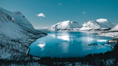
 Фото: pexels.com/ru-ru/@tobiasbjorkli/