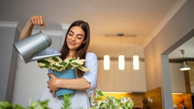 Как избавиться от мошек и других вредителей цветочных горшков