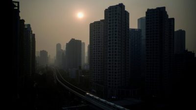 В китайском Ухане бактерия, вызывающая холеру, обнаружена у мягкопанцирных черепах