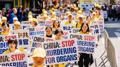 Адвокаты: Насильственное извлечение органов у последователей Фалуньгун должно быть в центре внимания на переговорах с Китаем по правам человека