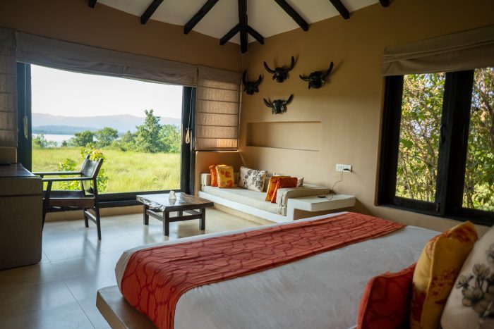 Преследование тигров: на сафари в Индии