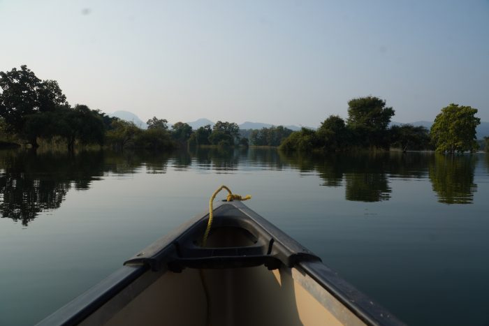 Преследование тигров: на сафари в Индии