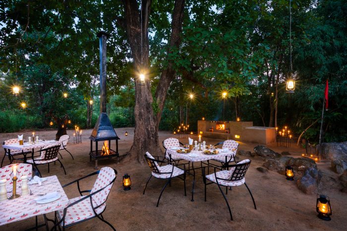 Преследование тигров: на сафари в Индии