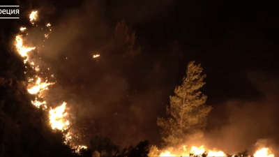 В Греции горит национальный лесной парк Дадия и остров Лесбос