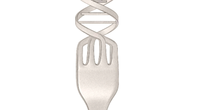 Ты то, что ты ешь: как влияет еда на наш генетический аппарат