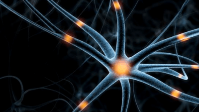 Может ли наша память создавать раковые образования?