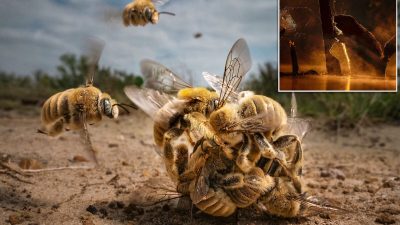 Победители фотоконкурса «Большая фотография» 2022 года