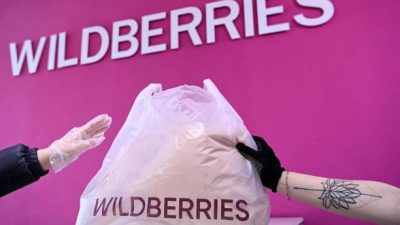 Сотни граждан КНДР работают на складах Wildberries в Подмосковье (видео)