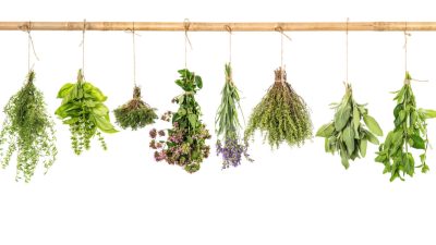 Травы могут помочь снизить артериальное давление