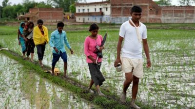 От удара молний погибли 49 человек на этой неделе в индийском штате Уттар-Прадеш