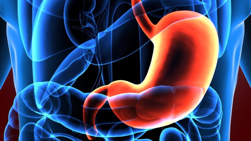 Фото: (Life science/Shutterstock) | Epoch Times Россия