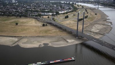 Засуха в Германии: немецкая промышленность в опасности из-за падения уровня воды в Рейне