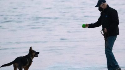 Забор вокруг дома Байдена на пляже Делавэра обошёлся примерно в $500 тыс.