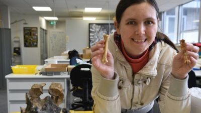 Учёные определили древний вид птиц через сто лет после раскопок