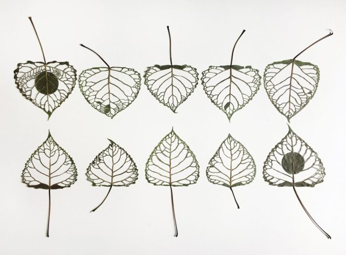 Рукодельница создаёт искусство на основе природных материалов