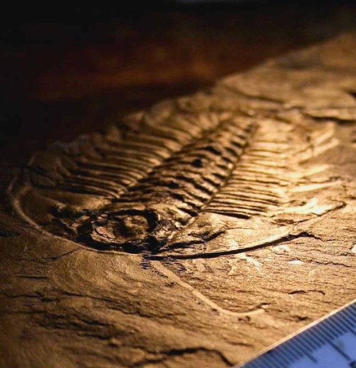 Кто является инженером, стоящим за самой передовой технологией в мире?