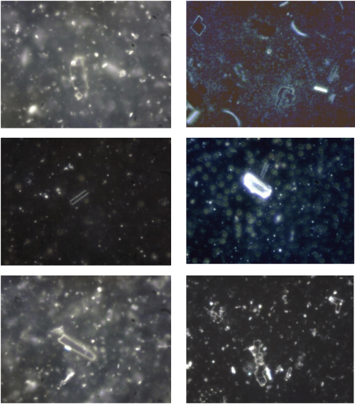 Немецкие учёные обнаружили токсичные металлы в вакцинах от COVID-19 Немецкие учёные обнаружили токсичные металлы в вакцинах от COVID-19