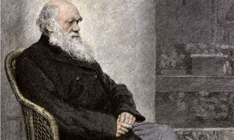 (North Wind Picture Archives / Alamy Stock Photo)
 | Epoch Times Россия