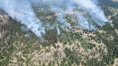 Сотни молний обрушились на Британскую Колумбию во время сильных гроз