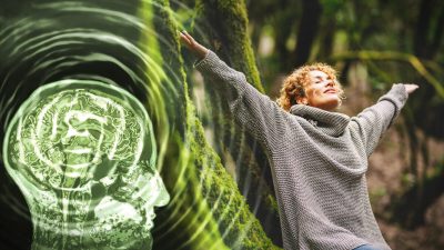 Учёный подключил 256 электродов к своей голове и обнаружил, что счастье не связано с материальным успехом