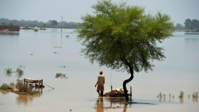 Пакистан просит финансовой помощи, чтобы покрыть ущерб от разрушительных наводнений