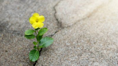 Как сохранить надежду: пять стратегий