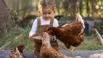 Семь забавных летних бизнес-идей для детей