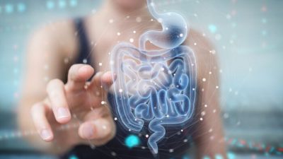 Исследование показало, что иммунитет связан со здоровьем кишечника и диетой