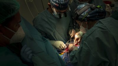 Регенеративные свойства сердца новорождённого дают надежду людям с врождёнными пороками сердца