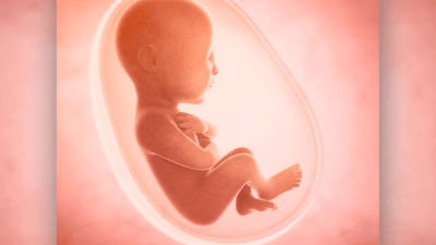 Когда начинается жизнь человека?