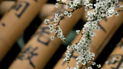 Две древнекитайские загадочные истории