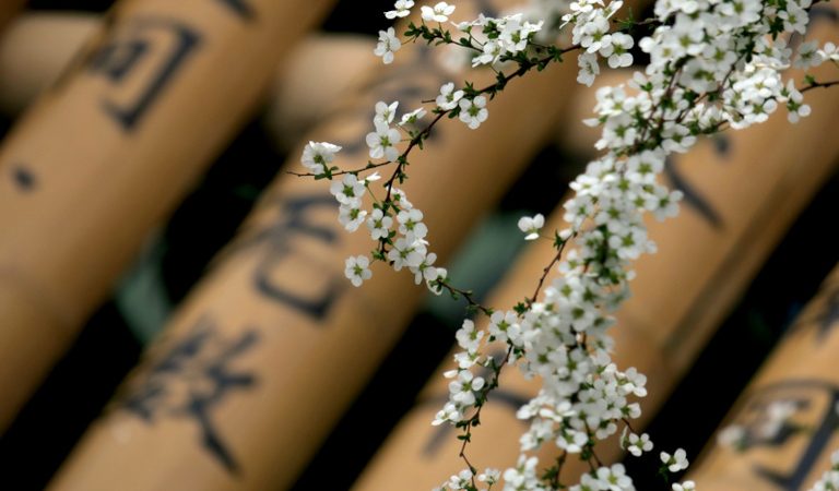 Попробуйте ответить на эти непростые вопросы и убедитесь, что вы так же умны, как и древние китайцы. (Фото: Matt Photo via Dreamstime)
 | Epoch Times Россия