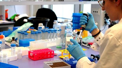 Бостонский университет вывел штамм COVID, убивший 80% лабораторных крыс. С какой целью?