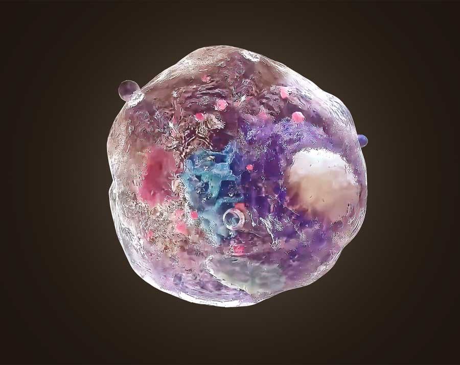 Вода — матрица жизни