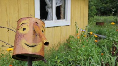 В Госдуме пояснили, как бесплатно получить земельный участок или дачу