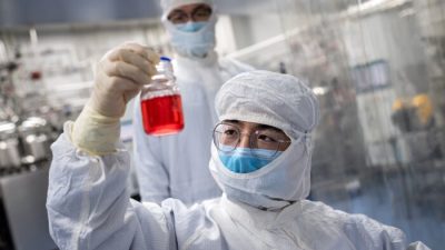 Китайская лаборатория купила землю в США для разведения приматов