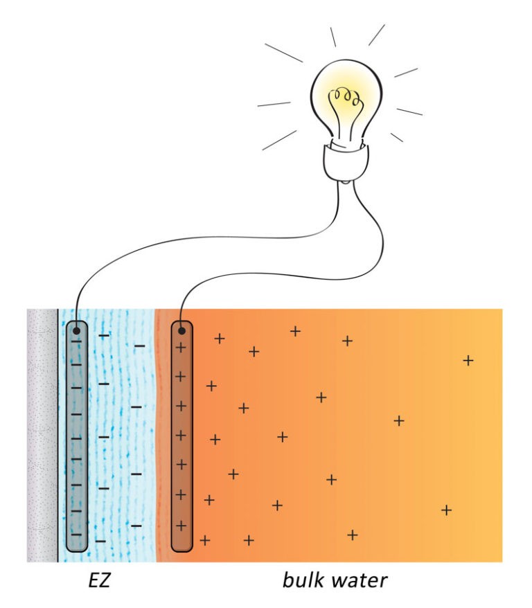 Вода — матрица жизни