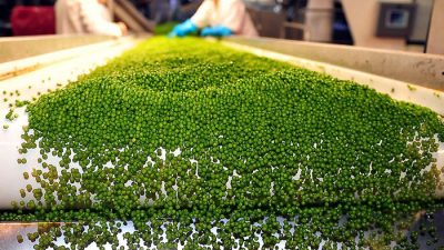 Миссия Bonduelle — «кормить людей, а не вести войну»