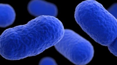 В шести штатах США 16 человек заразились листерией, поев деликатесов