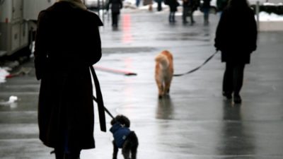 Владивосток превратился в каток после ледяного дождя. Видео